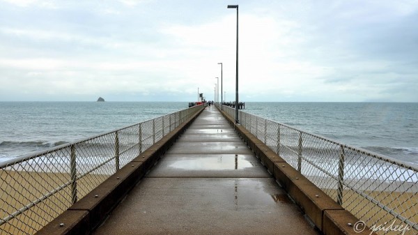 Palm Cove