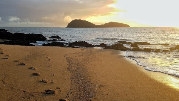 Palm Cove