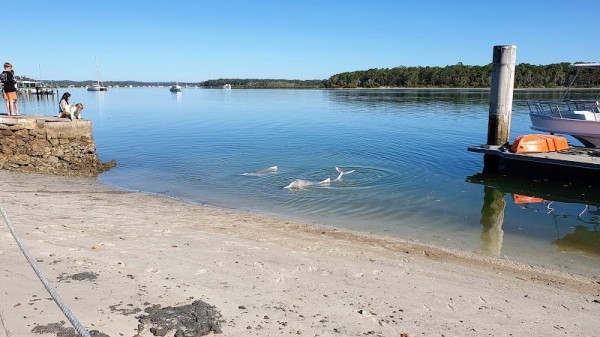 Tin Can Bay