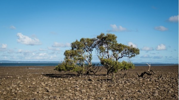 Wellington Point