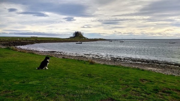 Beadnell