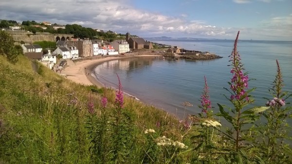 Kinghorn