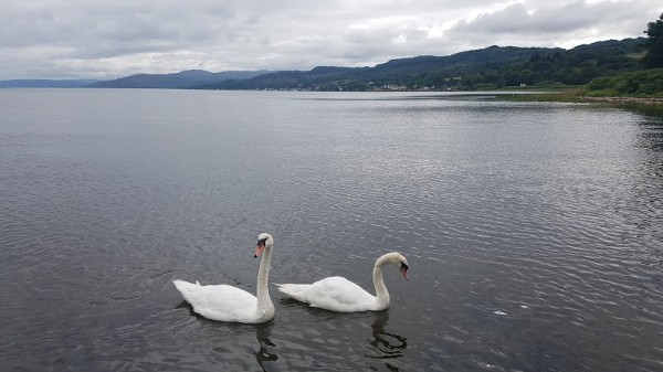 Lochgilphead