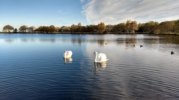 Musselburgh