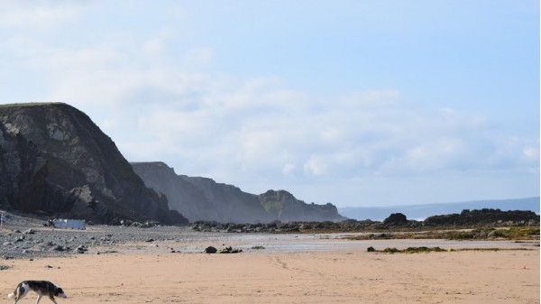 Sandymouth Bay Beach