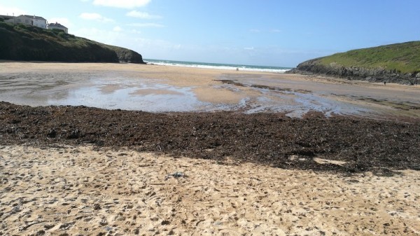 Porthcothan