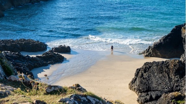 Kynance Cove