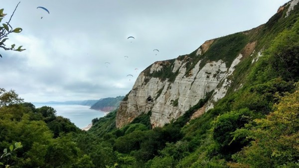 Branscombe