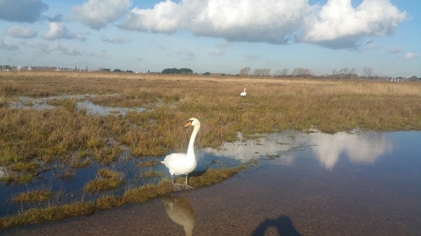 Mudeford