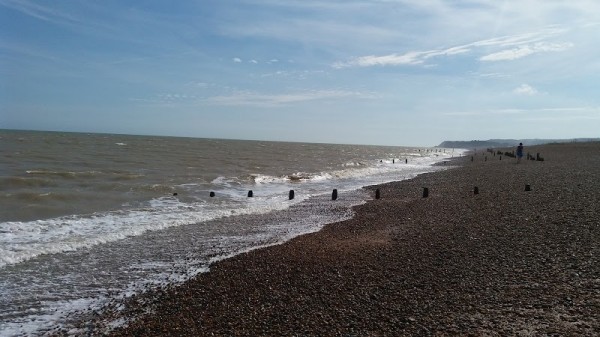 Winchelsea Beach