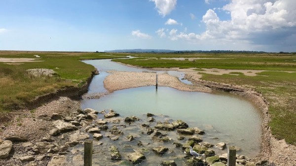 Rye Harbour