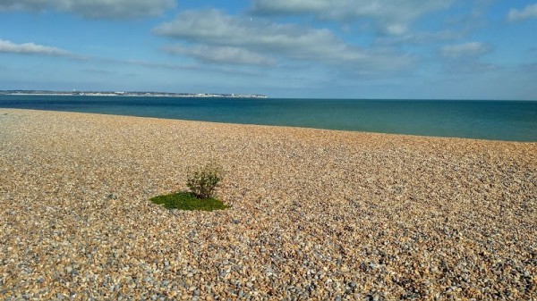 Sandwich Bay