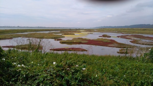 Canvey Island