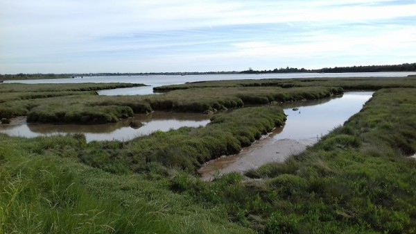 Heybridge Basin