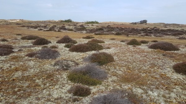 Winterton-on-Sea