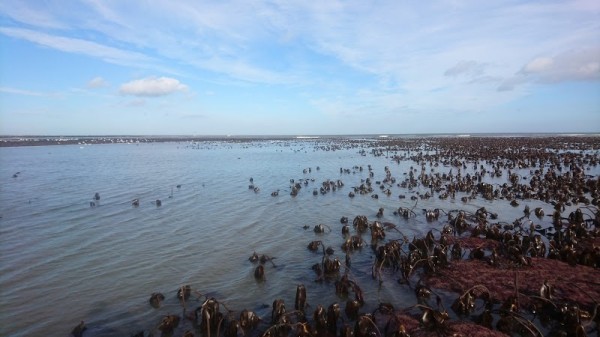 Port Mulgrave