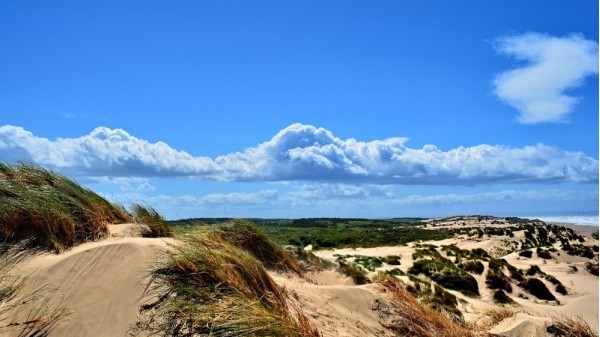 Formby