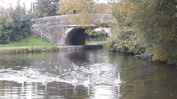 Bolton-le-Sands