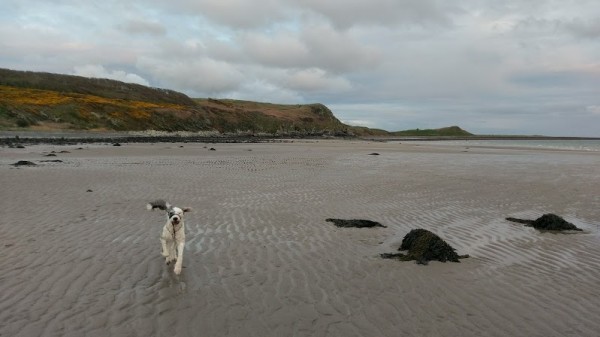 Monreith