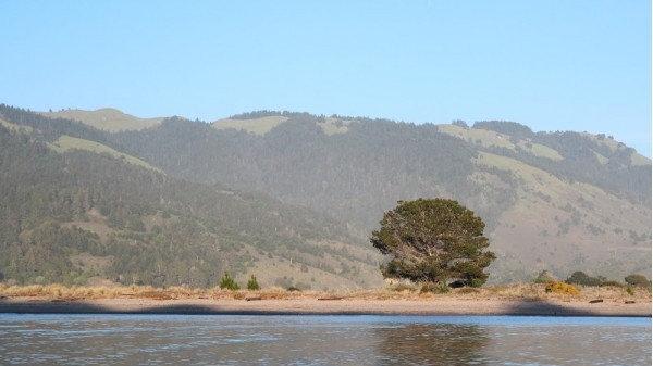 Bolinas