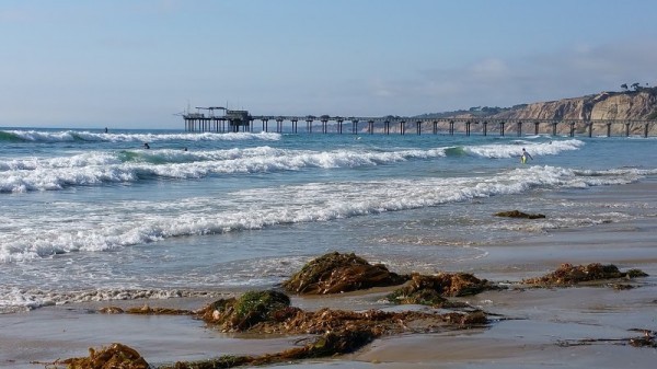 La Jolla