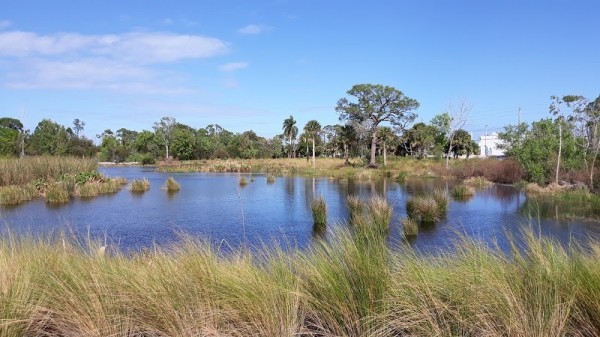 North River Shores