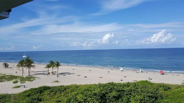 Palm Beach Shores