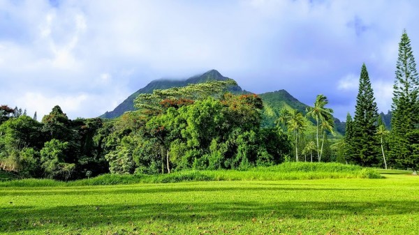 Kaneohe