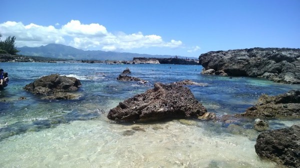 Waialua