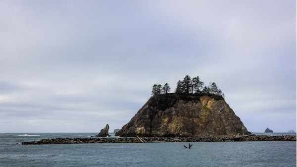 La Push