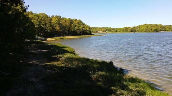 Buzzards Bay