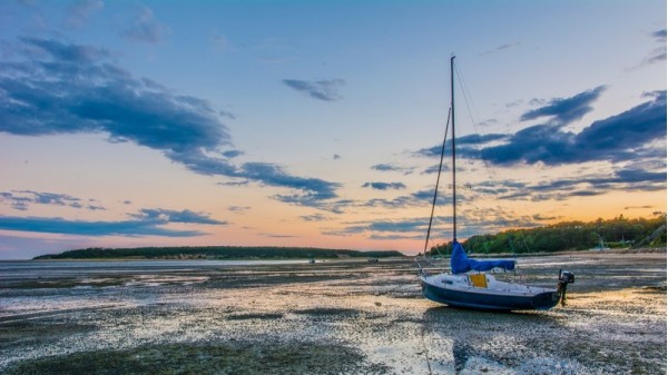 Wellfleet