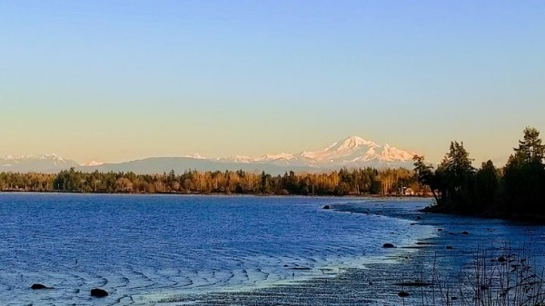 Birch Bay