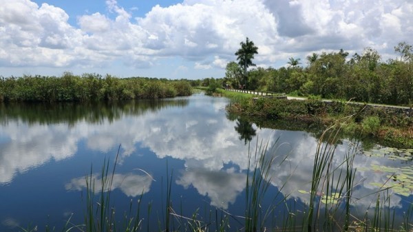 Everglades