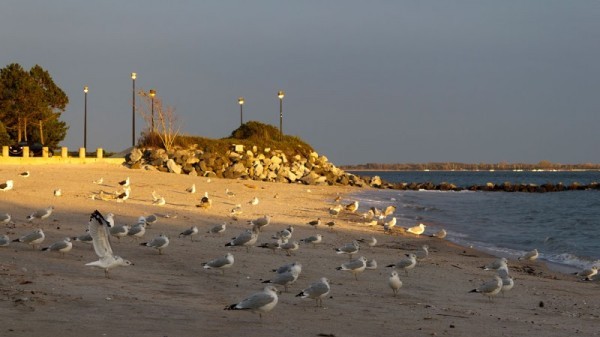 Manhattan Beach