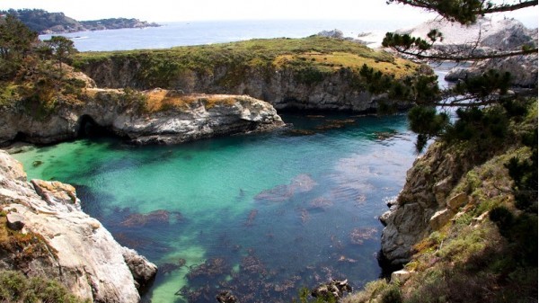 Point Lobos