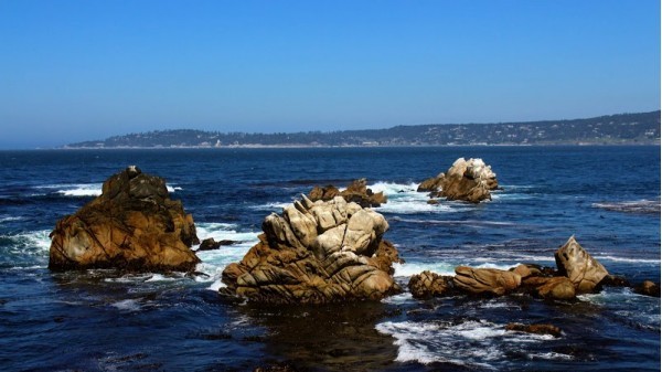 Point Lobos