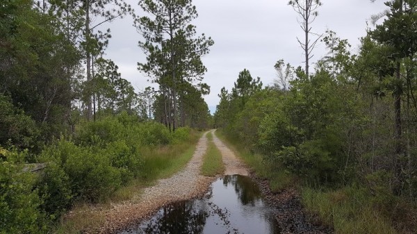 Santa Rosa Beach