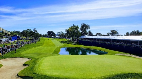 Torrey Pines