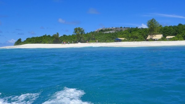 Cousin Island, Seychelles