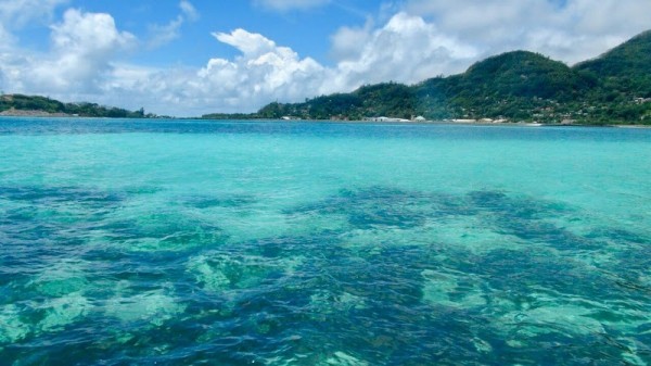 Island Anonyme, Seychelles