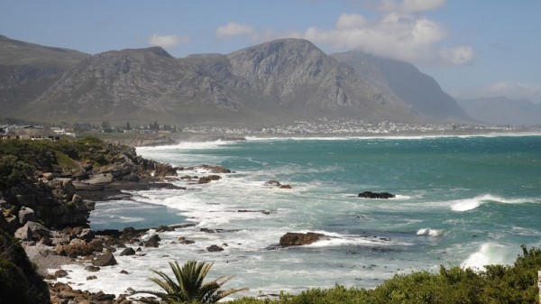 Hermanus