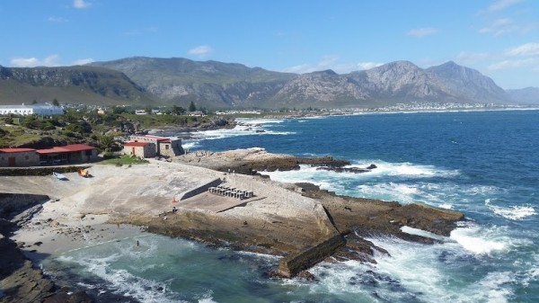 Hermanus