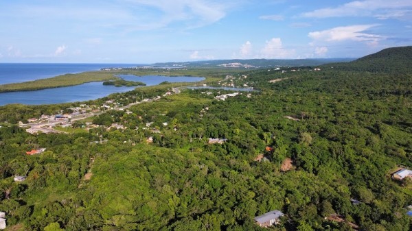 Salt Marsh