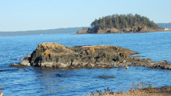 Nanaimo