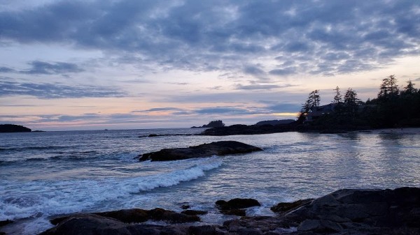 Tofino