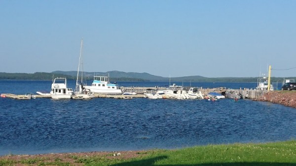 Botwood