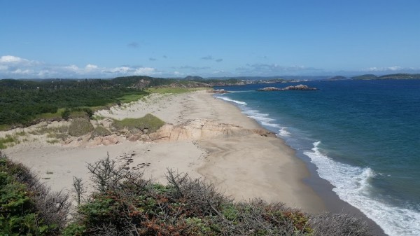 Burgeo