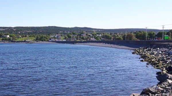 Carbonear