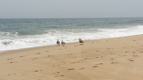 Kirk Park Beach